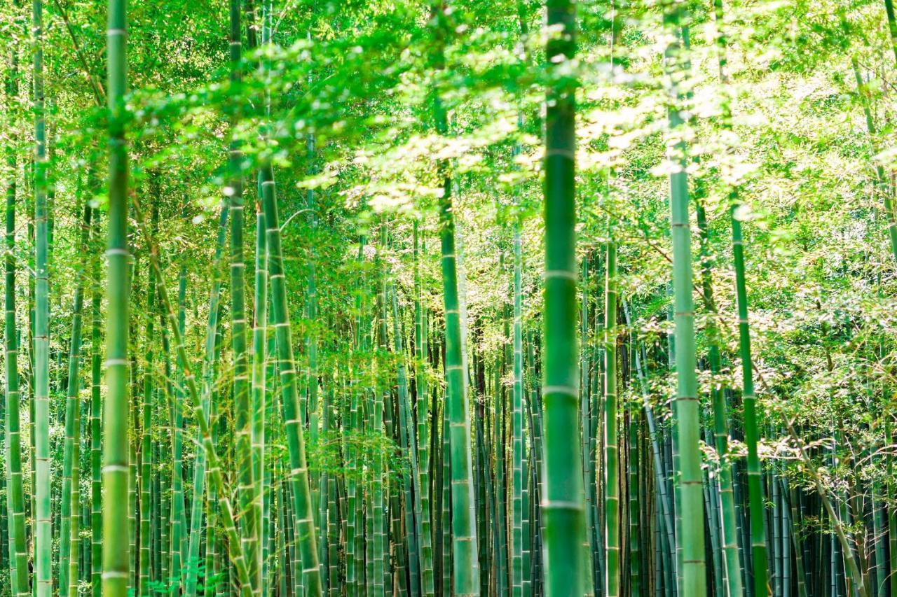 Suiran, A Luxury Collection Hotel, Kioto Exterior foto